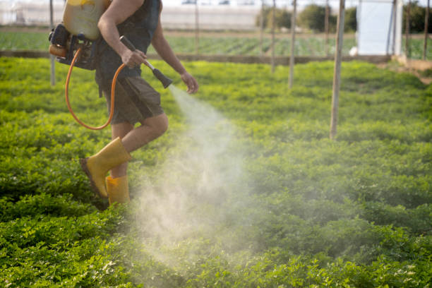 Best Pest Prevention Services  in White Horse, NJ